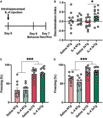 Evaluating the Effect of Interleukin-4 in the 3xTg Mouse Model of Alzheimer’s Disease